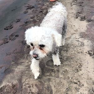 Meet your Posher, Anda